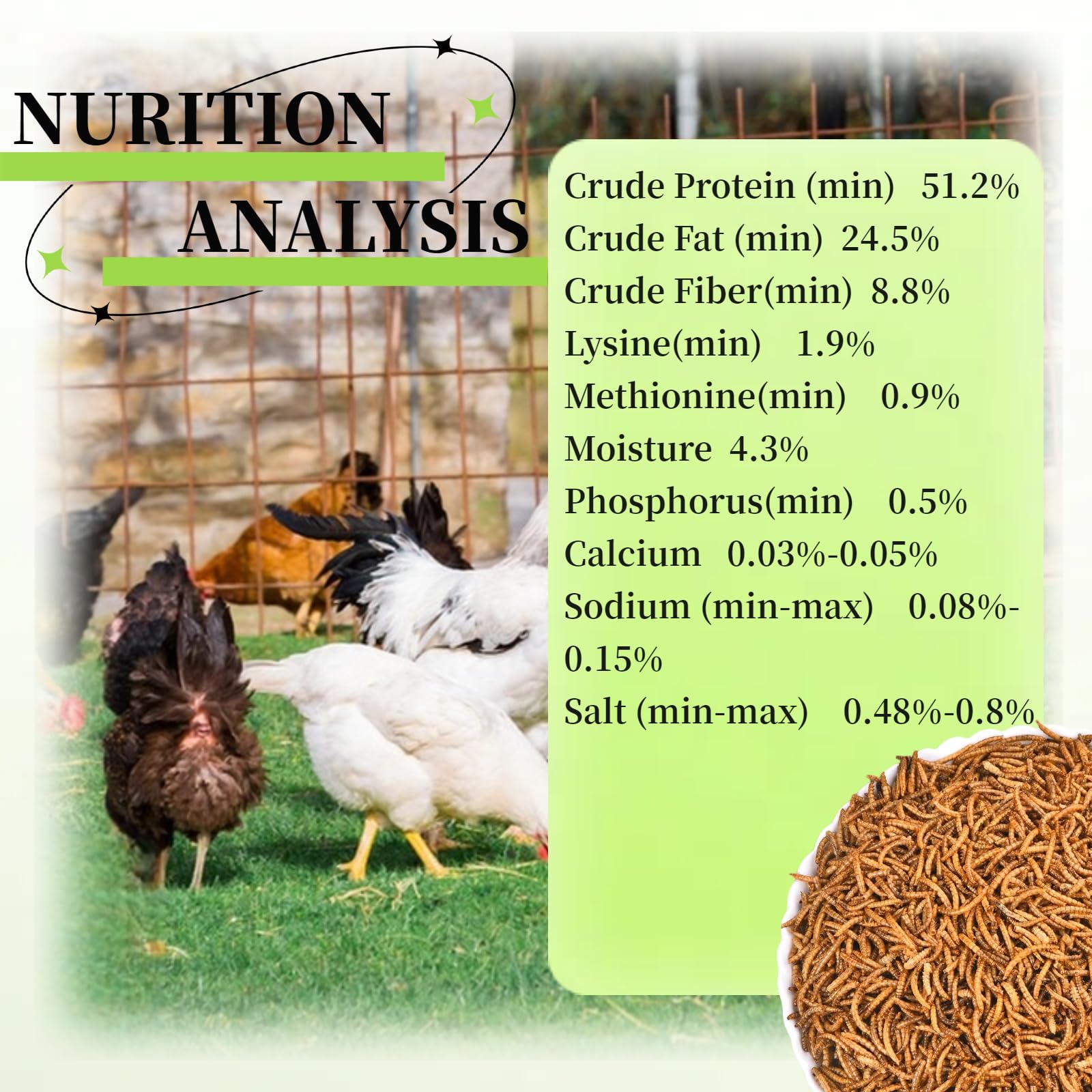 SANSECT 2,3 kg di vermi secchi per polli, anatre, uccelli selvatici, cibo per rettili | Dolcetti ad alto contenuto proteico, 100% naturali, non OGM, per polli, anatre, tartarughe e rettili e galline ovaiole