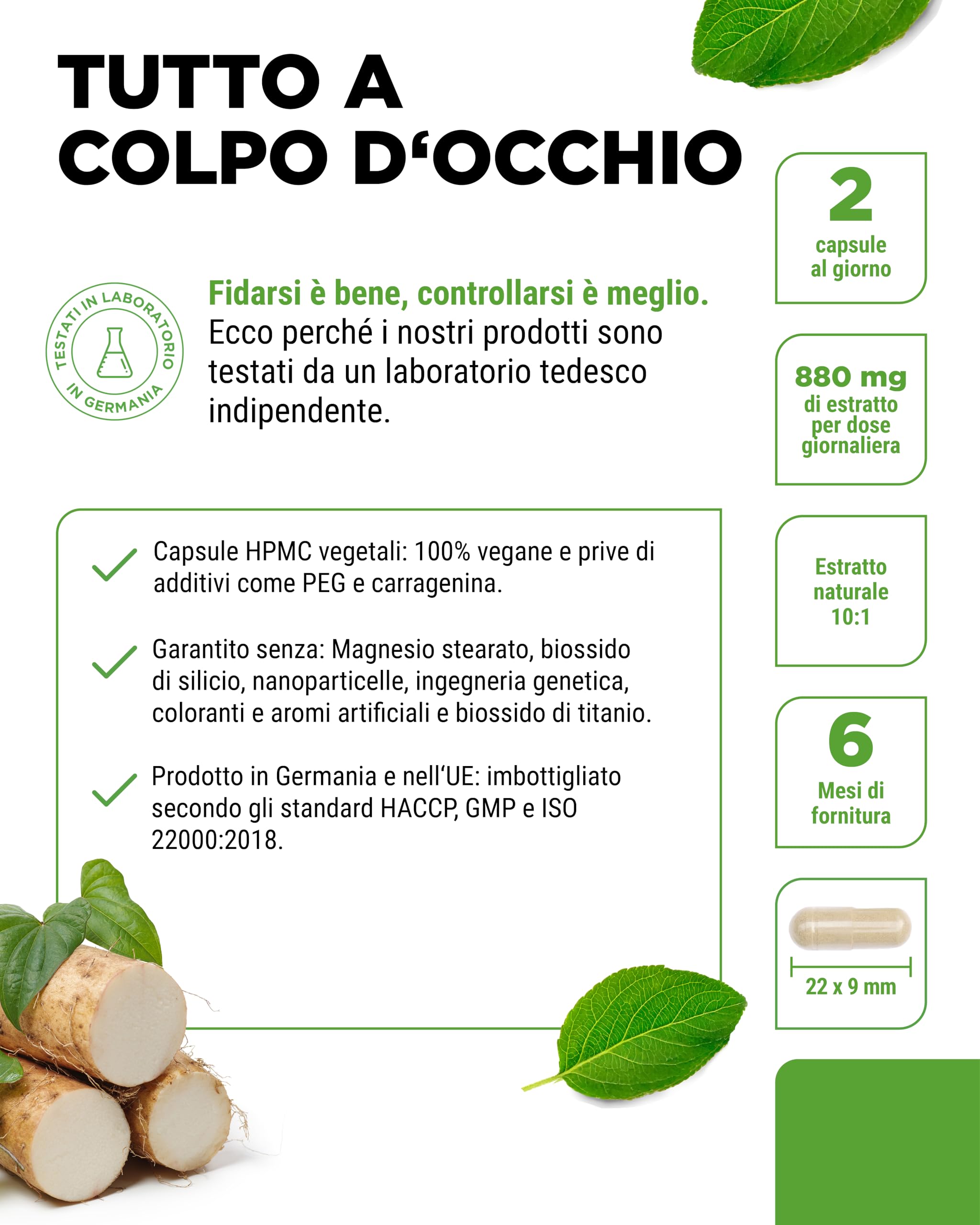 Estratto di radice di igname selvatico - 365 capsule - Radice di igname selvatico originale messicano - Dosaggio elevato con 880 mg di estratto (compresi 176 mg di diosgenina) per dose giornaliera