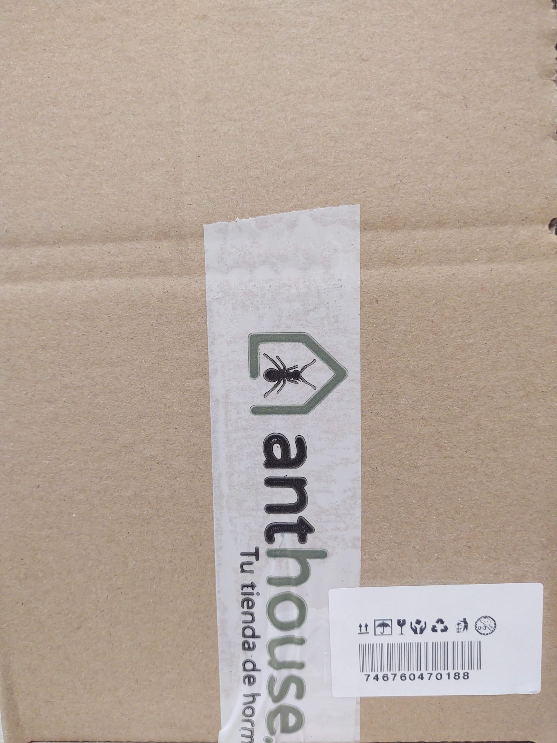 Anthouse.es - Hormiguero Natural de Arena - Kit Hormiguero Acrílico L (Sándwich + Caja de Forrajeo) - Granja de Hormigas con Colonia de Hormigas Incluida - 25x20x1 cm y 10x24 x10 cm - Transparente - 3