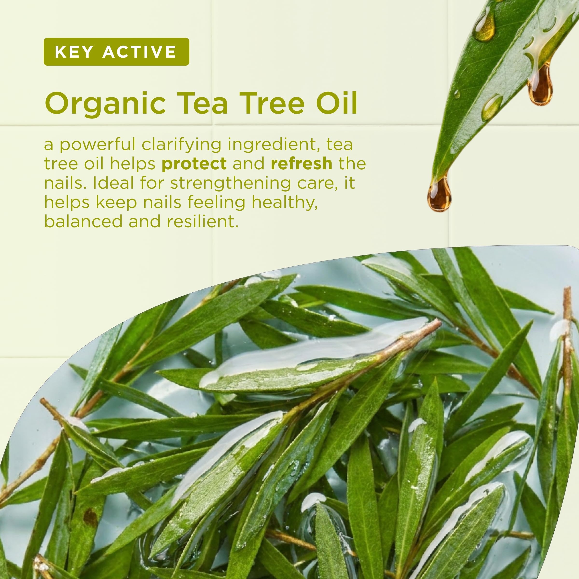 Dr. Organic – Soluzione antimicotica, antibatterica e ricostituente per unghie con olio di Tea Tree - da 10 ml.