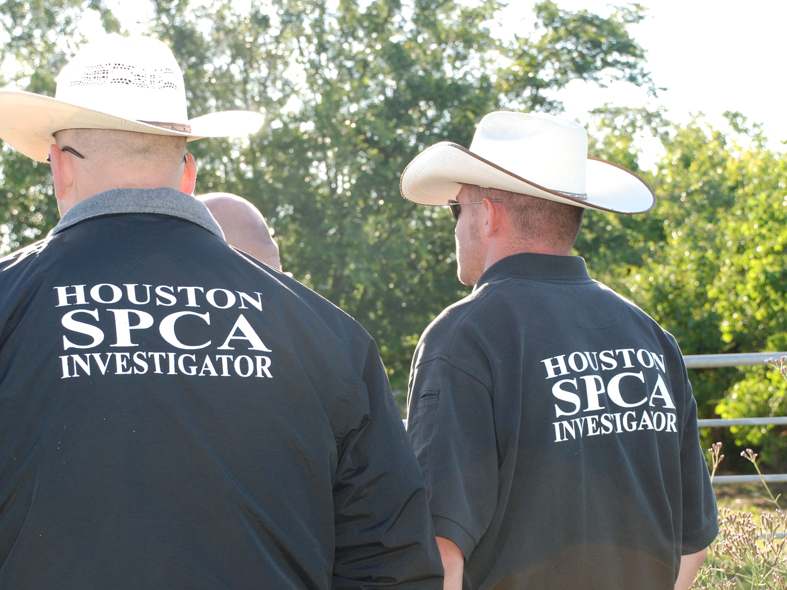 Watch Animal Cops Houston Season 2 Prime Video