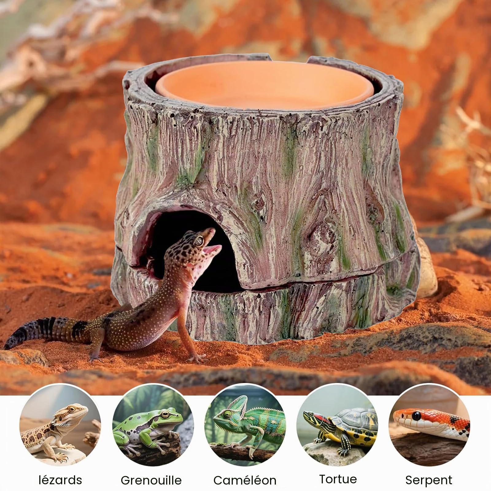 Cachette 3 en 1 pour Reptile, Grotte pour Reptiles Et Amphibiens, 3 en 1 Reptilee Hide Cave Reptiles Refuge, Cachette pour Reptile Et Aquarium Caverne pour Gecko, Lézard, Dragon à Barbe