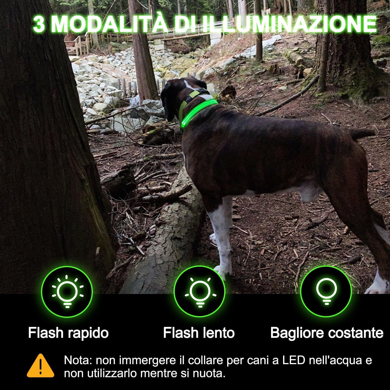 Nepfaivy Collare Luminoso per Cani Ricaricabile - Collare per Cani a Led con Lunghezza Regolabile, 3 Modalità di Illuminazione per la Sicurezza Notturna, Verde