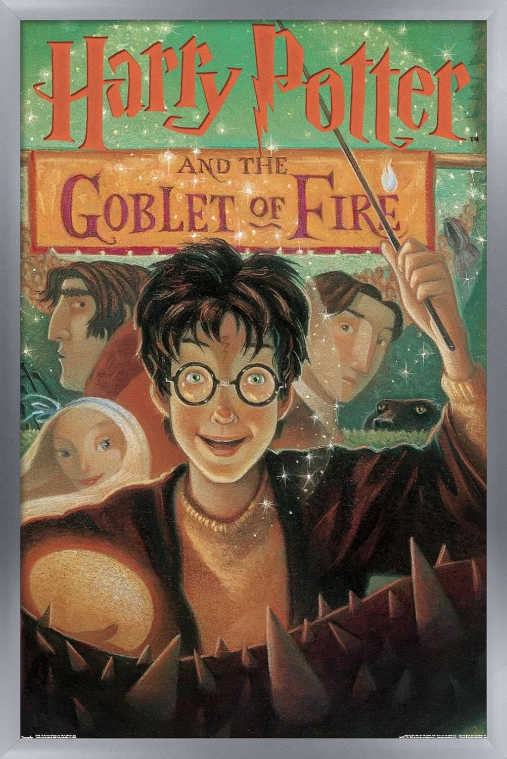 Trends International 24X36 Harry Potter and the Goblet of Fire - Book Cover Wall Poster, 24" x 36", Black Framed Version