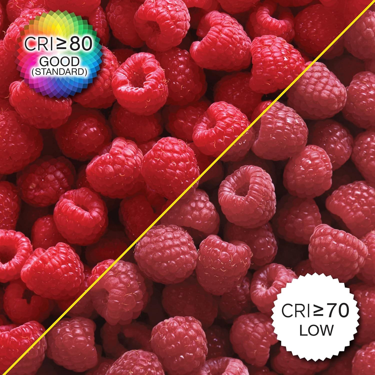 Comparison of various light color temperatures from warm to cool