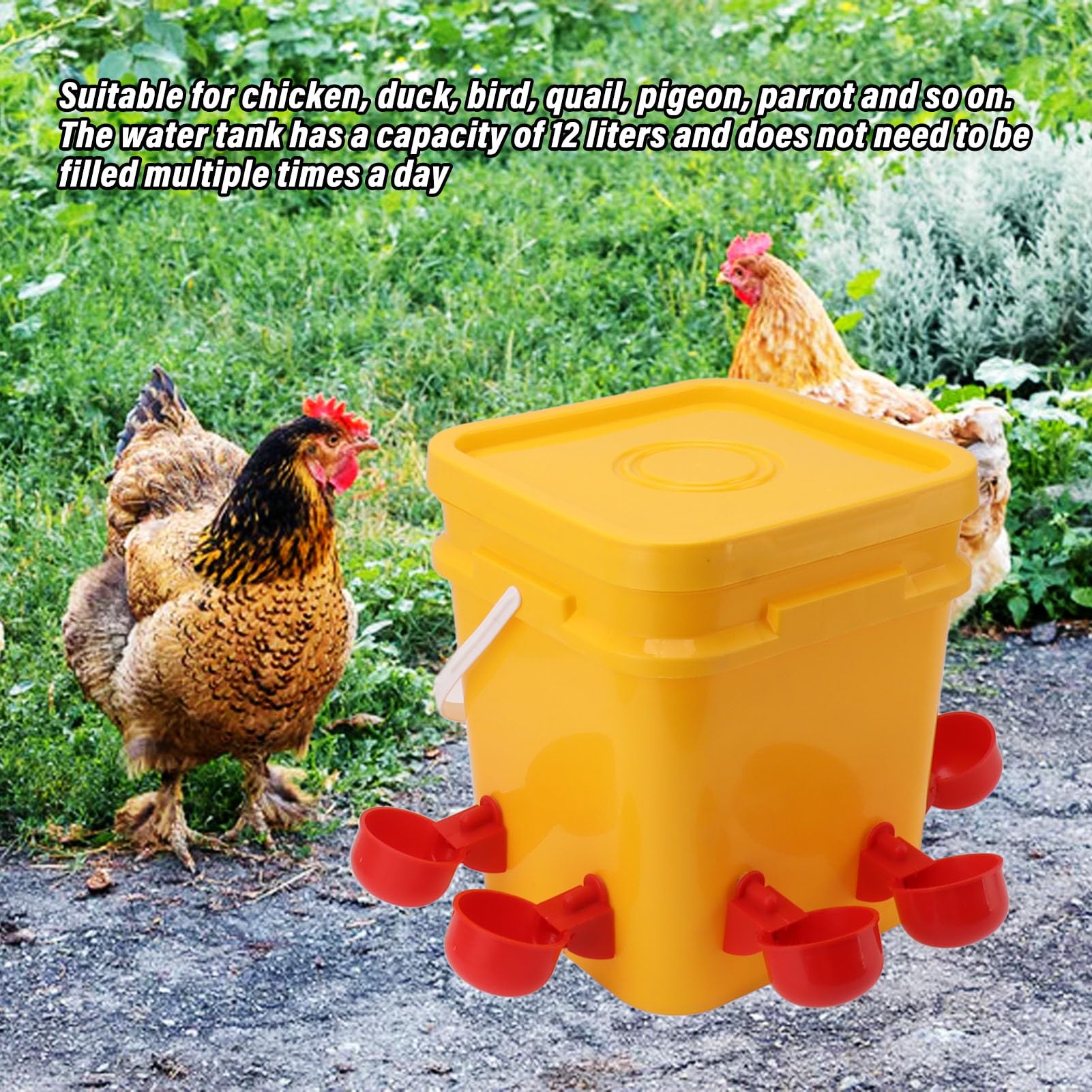 Bebedero automático para Pollos, Bebedero automático para Pollos, comedero con Cubo de Mano de 12 litros, Equipo para Beber Aves de Corral para Pato Ganso (Cubo+Nuevo Cuenco Red Bird+Tornillo Negro)
