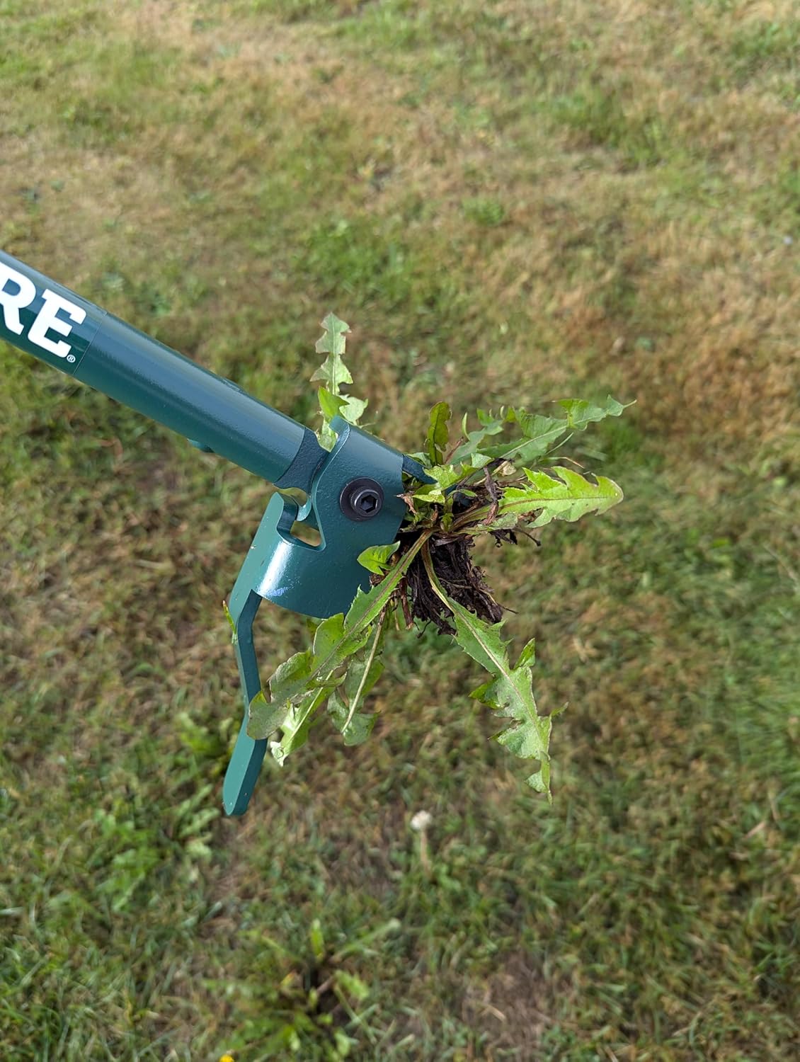 The Weeding Fork- The Stand Up Weed Puller