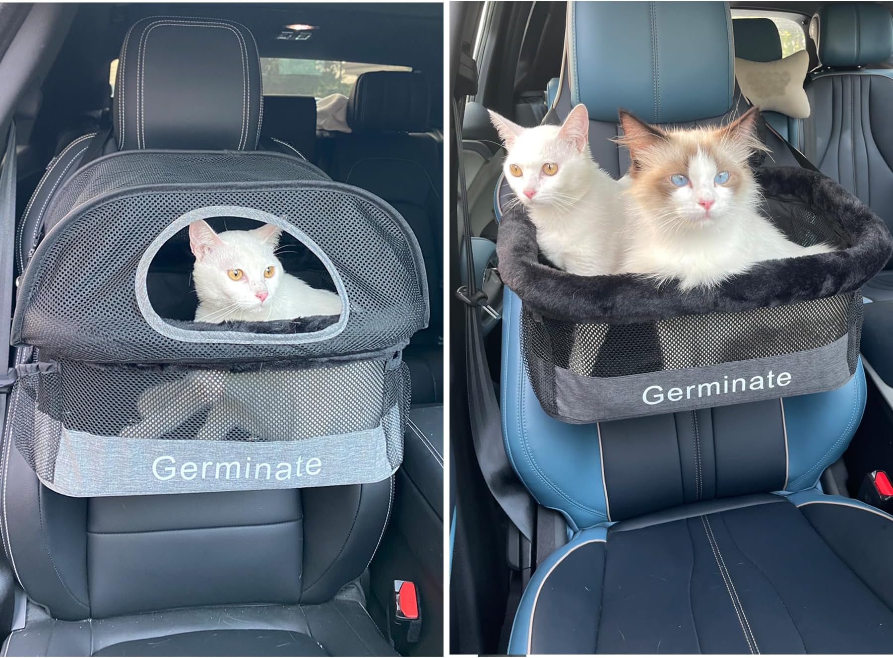 WOPET Pet Car Seat Carrier Airline Approved for Dog Cat