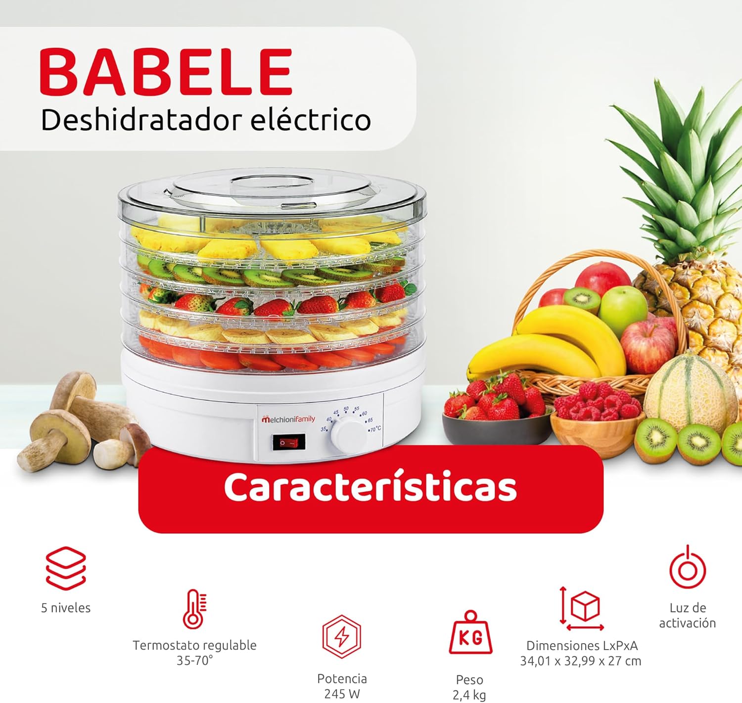 Melchioni Family | Deshidratador Eléctrico BABELE, Deshidratador de Alimentos Multiusos, 5 Bandejas Apilables y Extraíbles, Potencia 250W, Temperatura Regulable 40–70°C