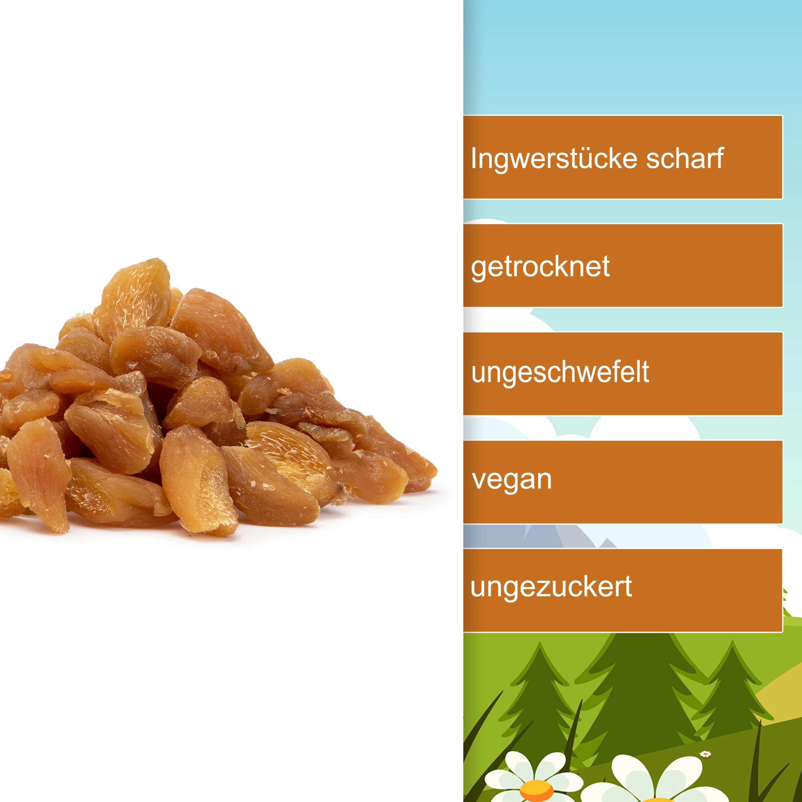 Ingwerstücke scharf 1kg - getrocknet aromatische Ingwer Stücke ohne Zucker - naturbelassen ungezuckert ungeschwefelt - 100% Ingwer Natural Ingwer Stücke gewürfelt ohne Gentechnik - (1kg)