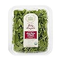 Whole Foods Market, Organic Baby Arugula, 5 oz