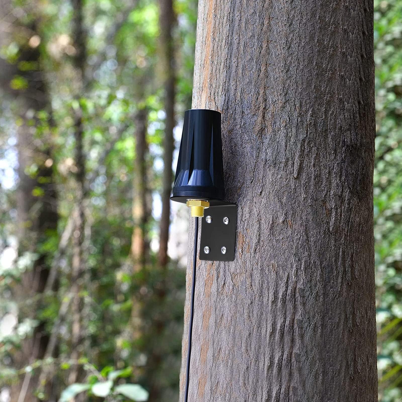 Bingfu Antenne 4G LTE Exterieur SMA Mâle Mimo 5dBi Omnidirectionnelle Étanche Imperméable 3m Câble pour 4G LTE 3G GSM Routeur Camera Chasse Caméra Sentier Moniteur d'Énergie
