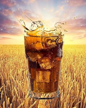 Amazon.co.jp: 【一和】メッコール 250ml、15缶・韓流・【ノン