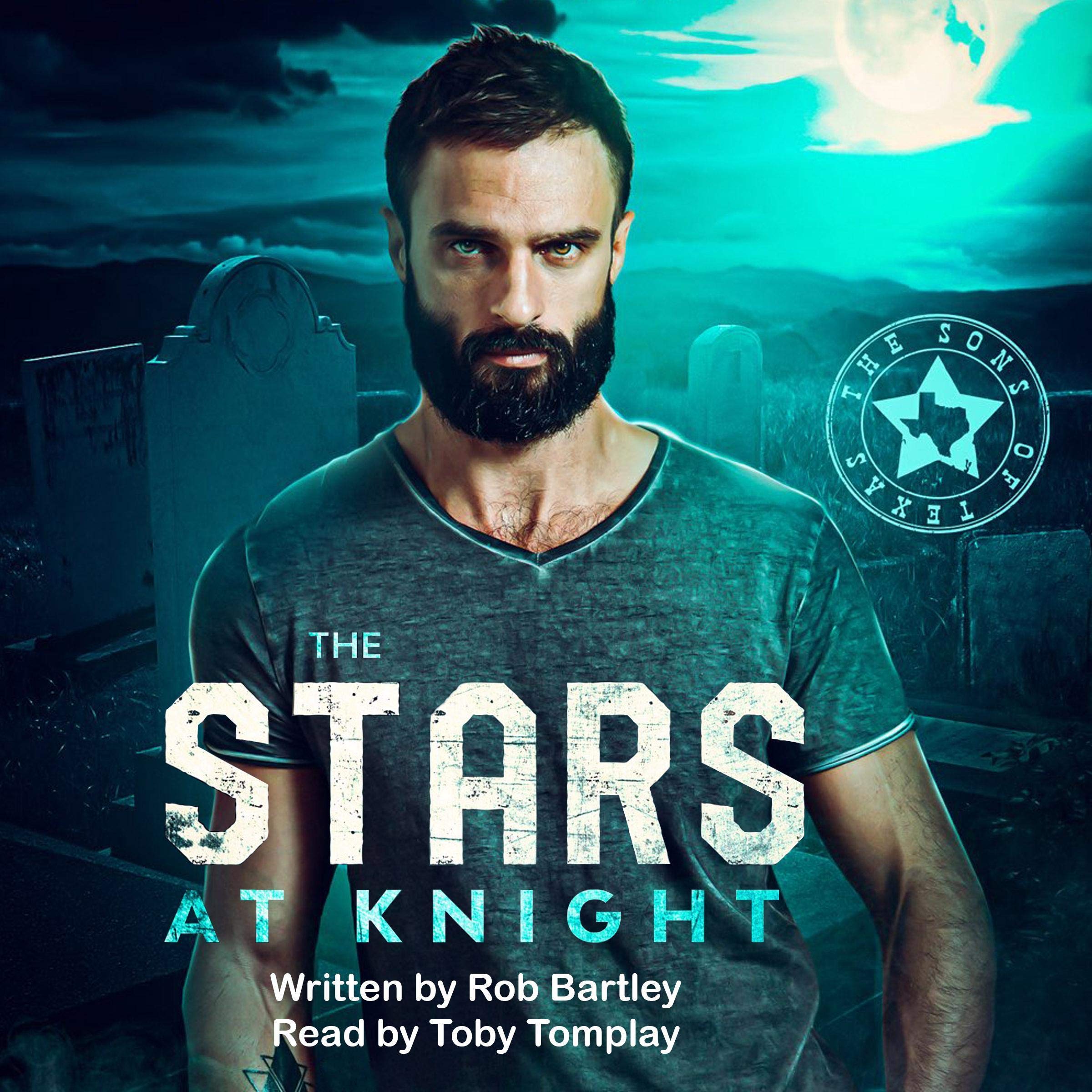 Cover art for The Stars at Knight