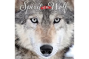 Spirit of the Wolf Monthly 2025: A Wild Journey