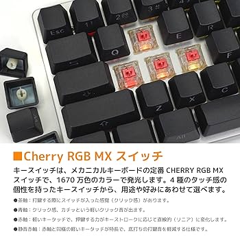 Amazon.co.jp: Vortexgear メカニカル キーボード Vortex10 英語