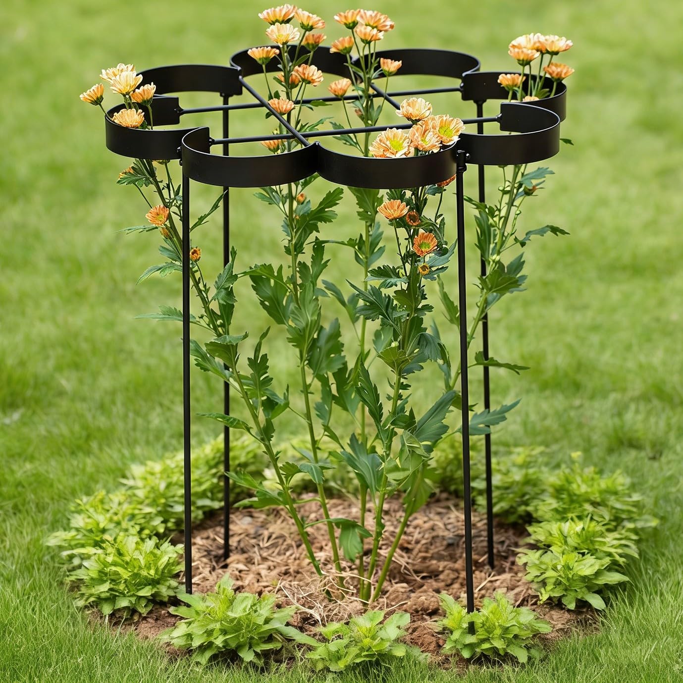 Goooxim 25 Inch Peony Cages and Supports