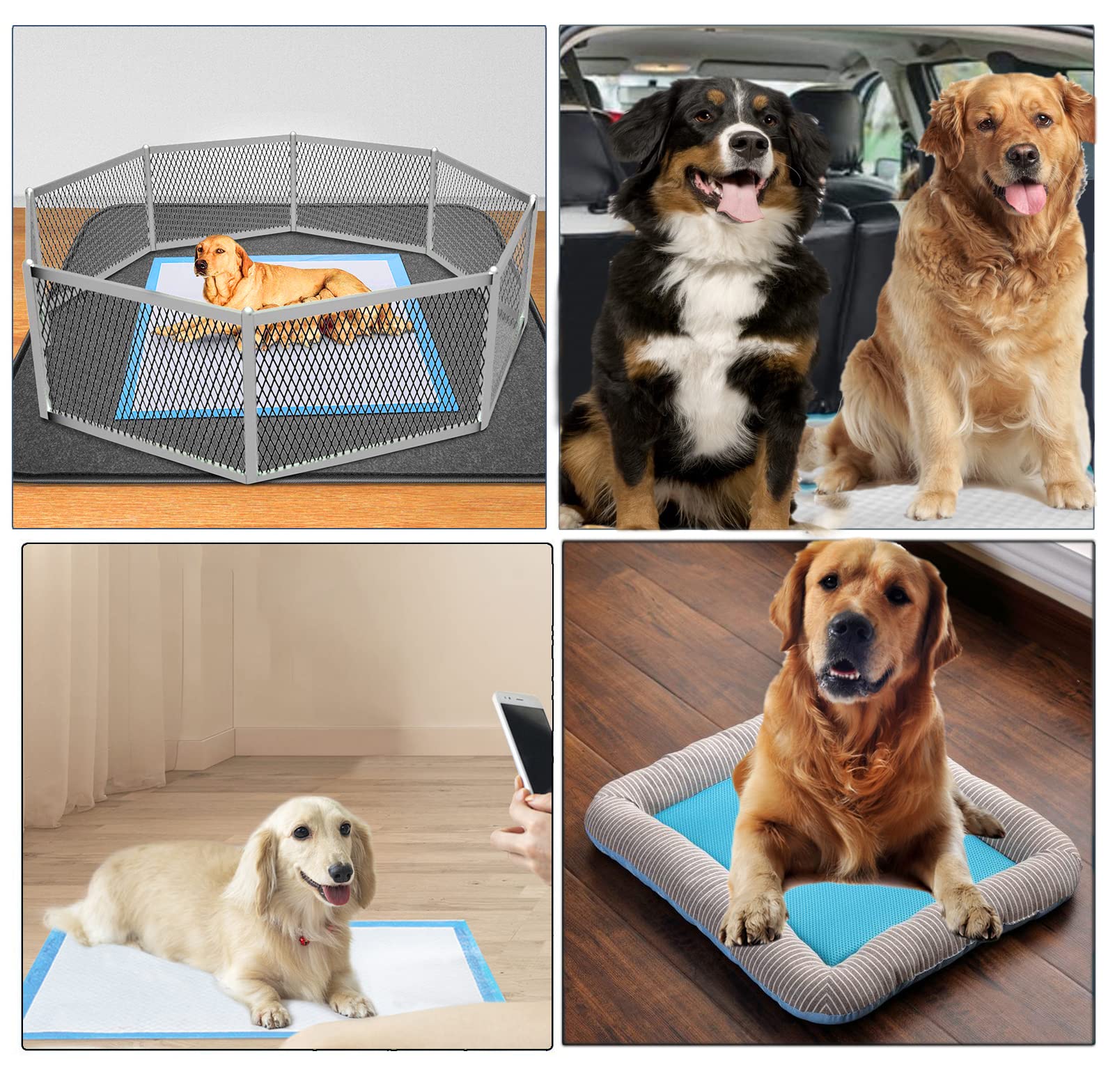 50 Stück Hunde-Urinierunterlagen, extra groß, 91,4 x 94,4 cm, Urinierunterlagen für Hunde, saugfähig und auslaufsicher, Einweg-Haustiertraining und Welpenunterlagen für Katzen, Hunde, Kaninchen