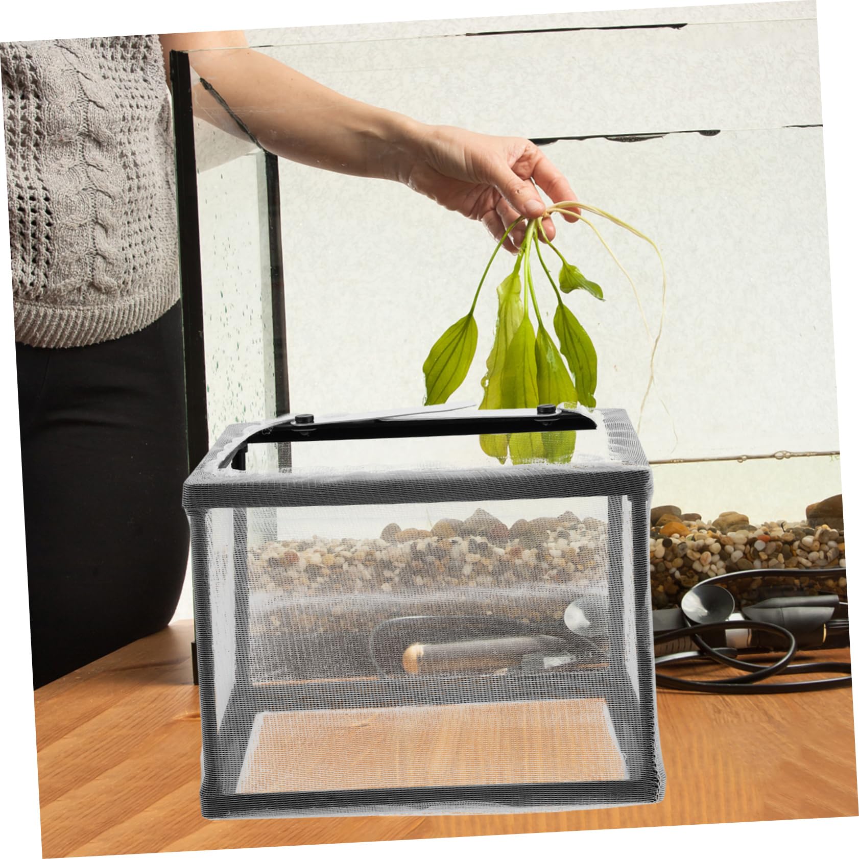HANABASS 5stücke Aquarium Zuchtbox Für Babyfische Atmungsaktive Isolationsbox Mit Feinem Netz Sicher Und Praktisch Für Aufzucht Leicht Zu Reinigen Und Tragbar Für Aquarien Und