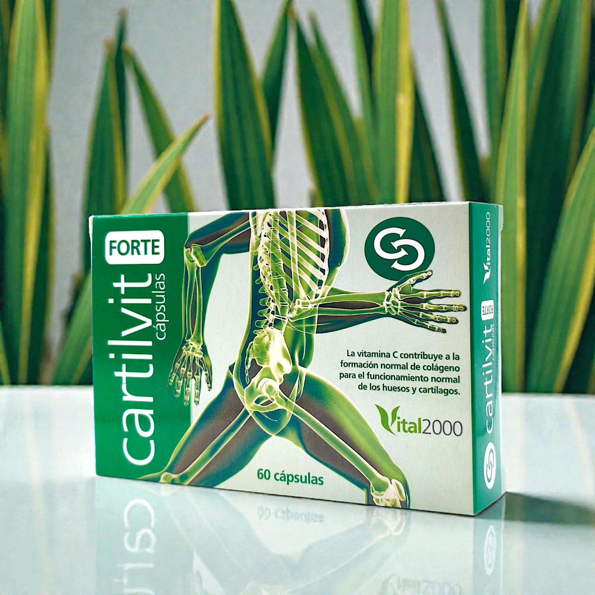 Vital 2000 Cartilvit Forte 60 Cápsulas - Suplemento Regenerador Articular con Glucosamina, Condroitina, Ácido Hialurónico y ASU (Soja y Aguacate) - Alivio del Desgaste y Artrosis