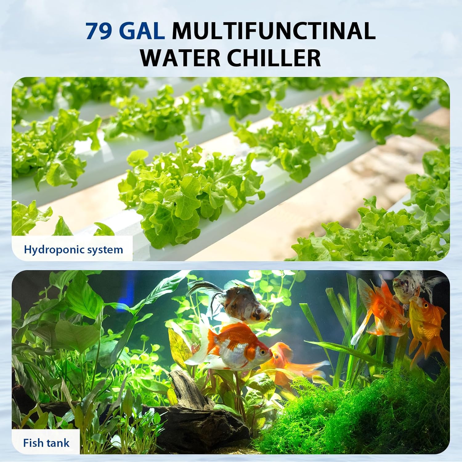 Image showing the chiller being used for both hydroponic systems and fish tanks