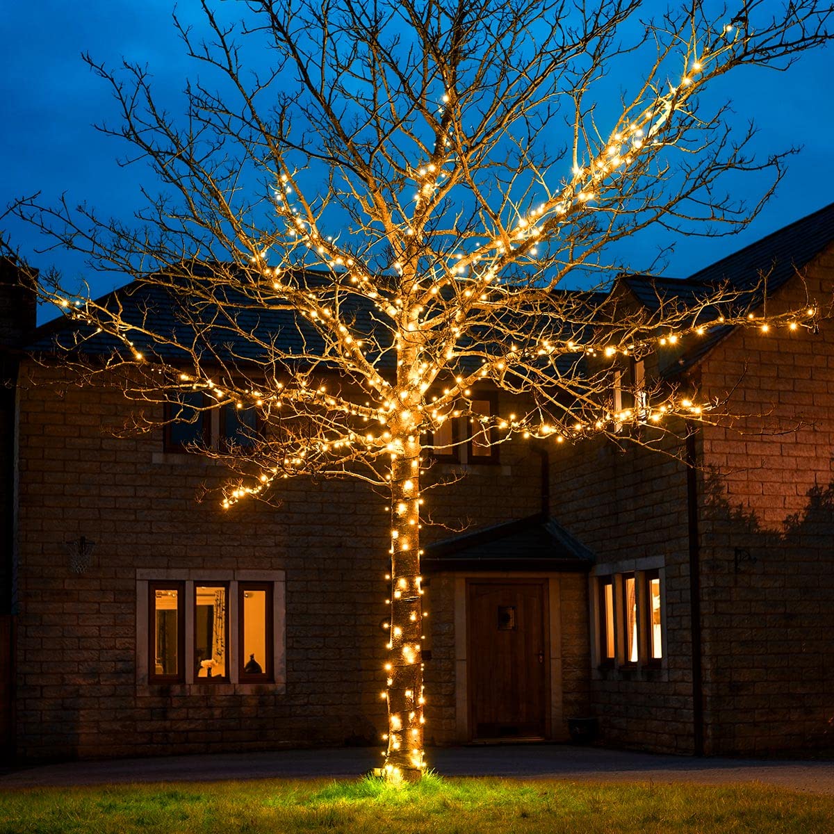 Festive Lights Gold - Connectgo Connectable Outdoor Fairy Lights - Mains Powered Led String Lighting - Christmas, Garden, Wedding & Party (, 10M)