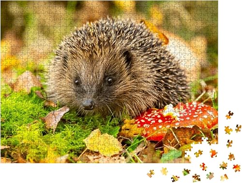 Miniatura 2 de Hedgehog, Scientific Name Erinaceus Europaeus Wild, Nativ... Jigsaw Puzzle Jigsaw Puzzle with 1000 Pieces