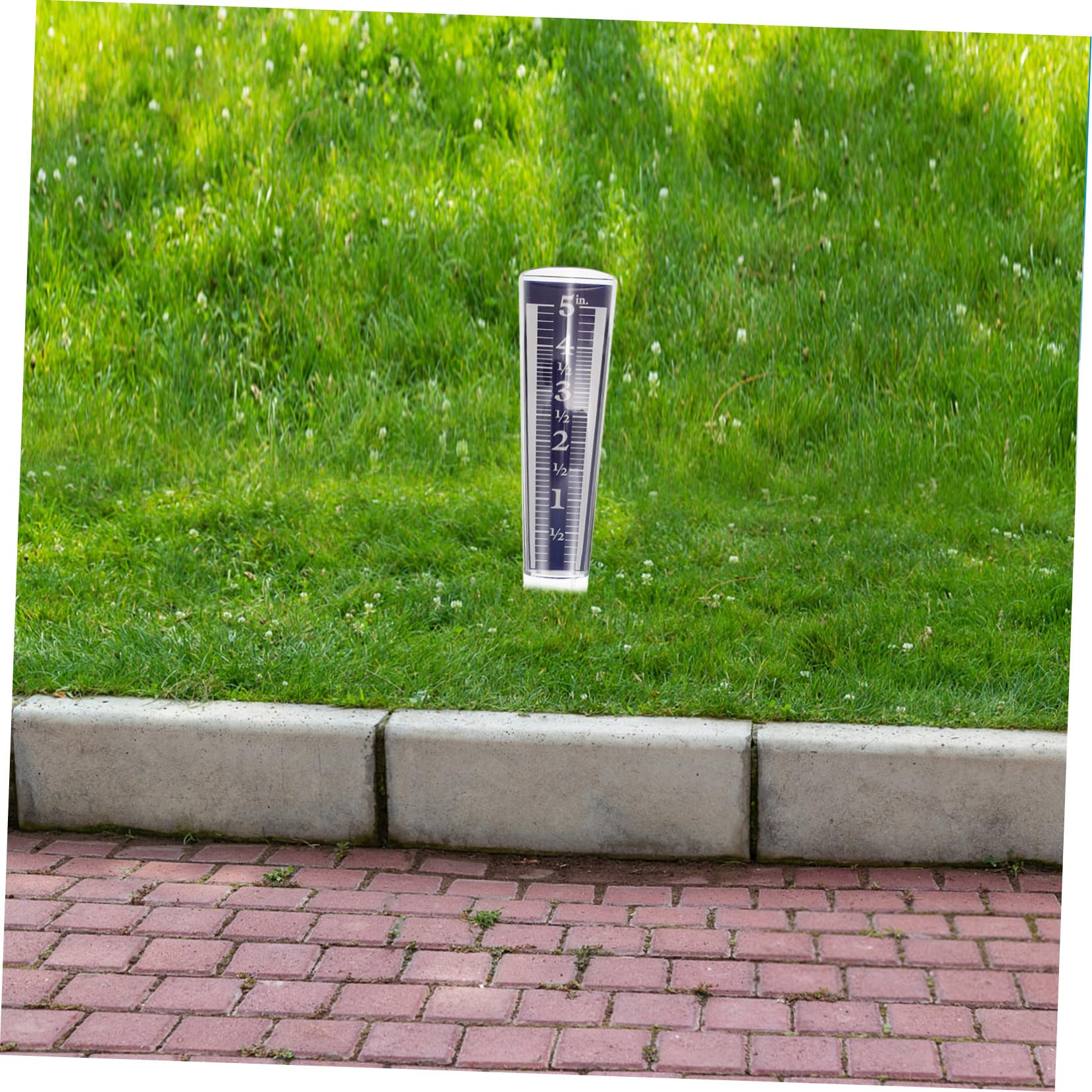 Toddmomy 5stücke Regenmesser Mit Transparenter Runder Niederschlagsmesser Für Garten Für Außenbereiche Präzise Regenmessung Für Rasen Und Pflanzenpflege