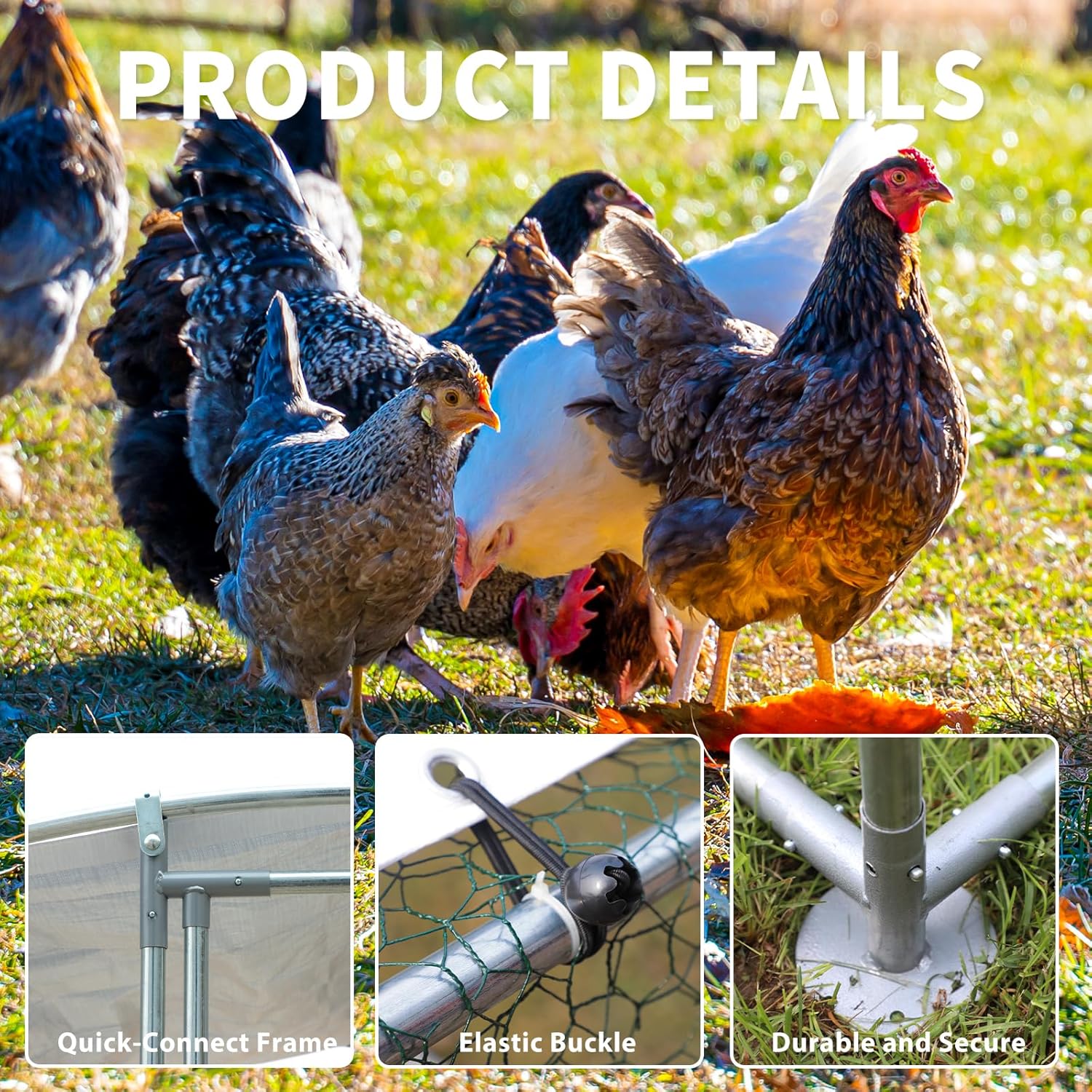 Close-up images showing quick-connect frame, elastic buckle for mesh, and durable secure base for the chicken coop.