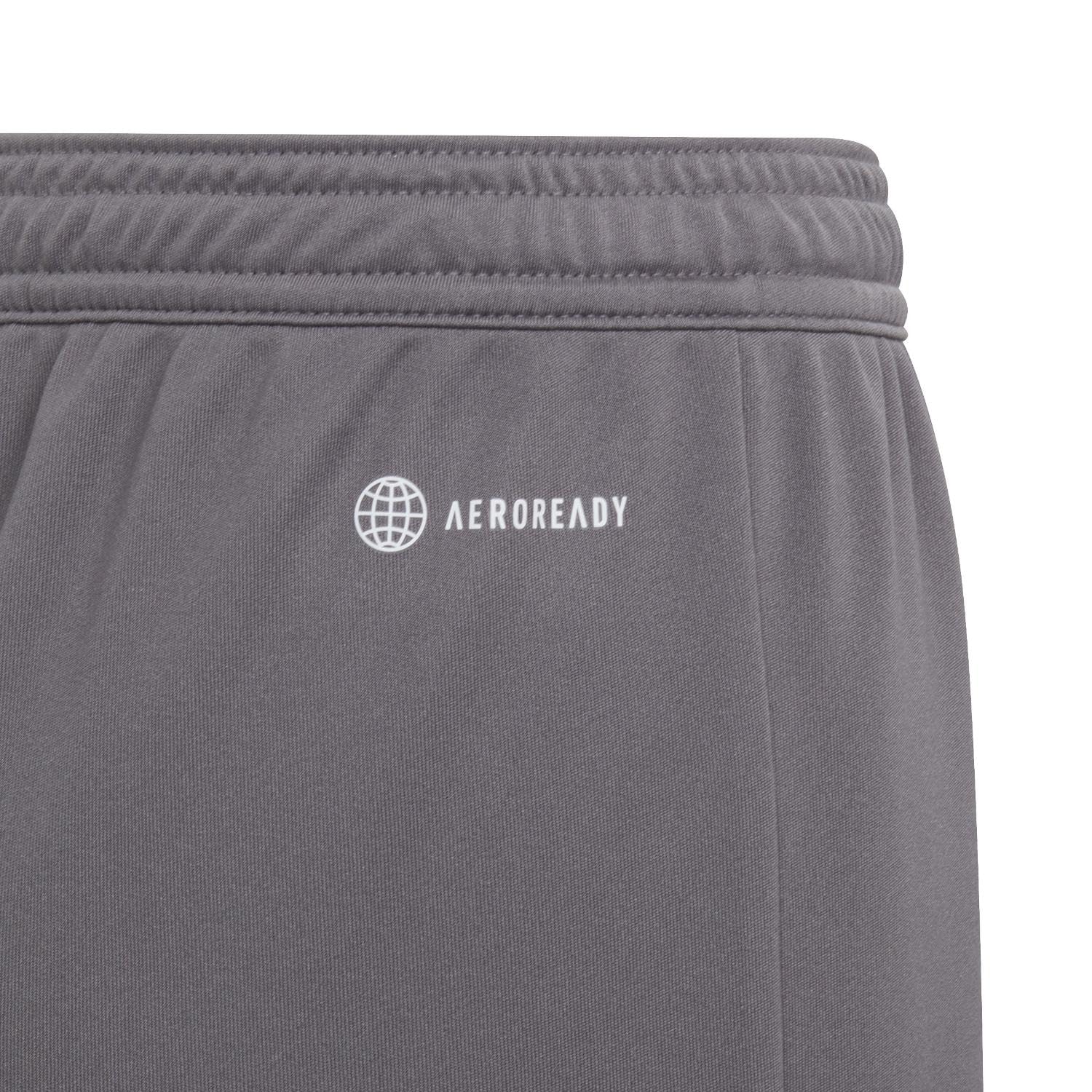 adidas Kids' Entrada 22 Training Shorts, Team Grey Four, X-Large