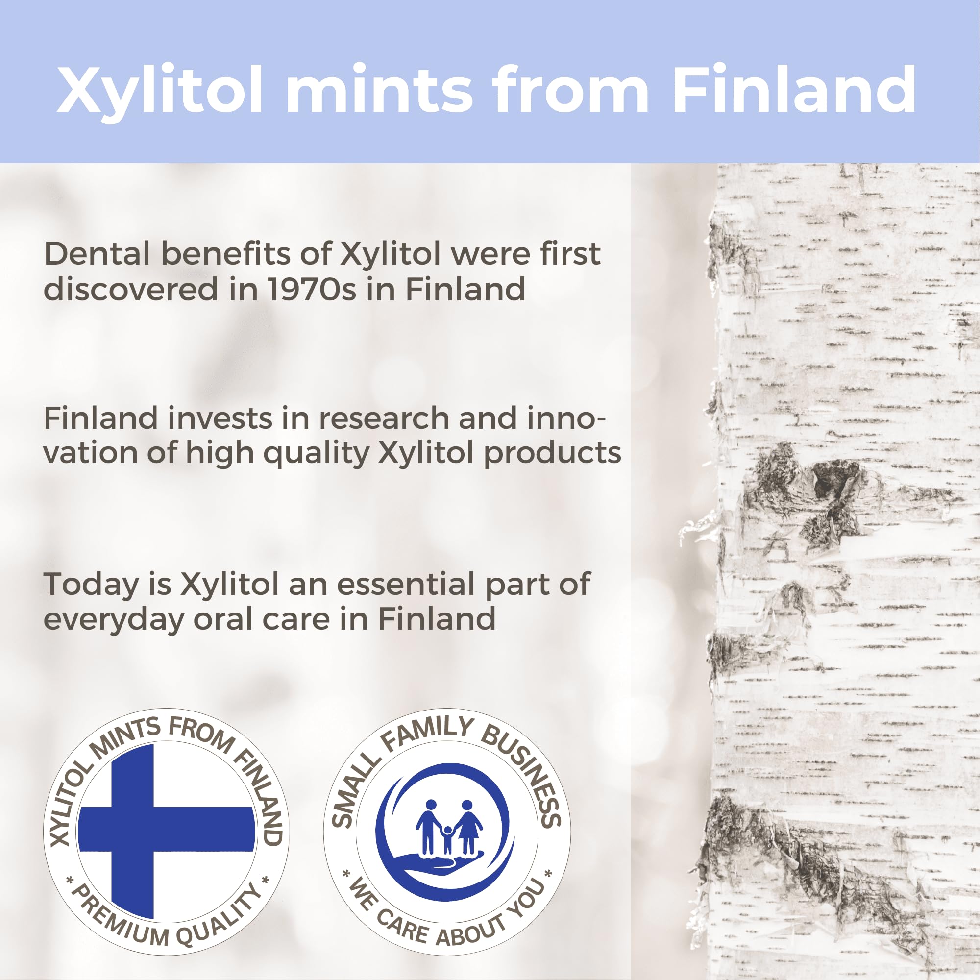Xylitol Mints for Oral Care - Wild Berries flavor, 100% Xylitol sweetened, Sugar Free Candy, Happy Teeth dental mints from Finland. 5oz - 245 mints