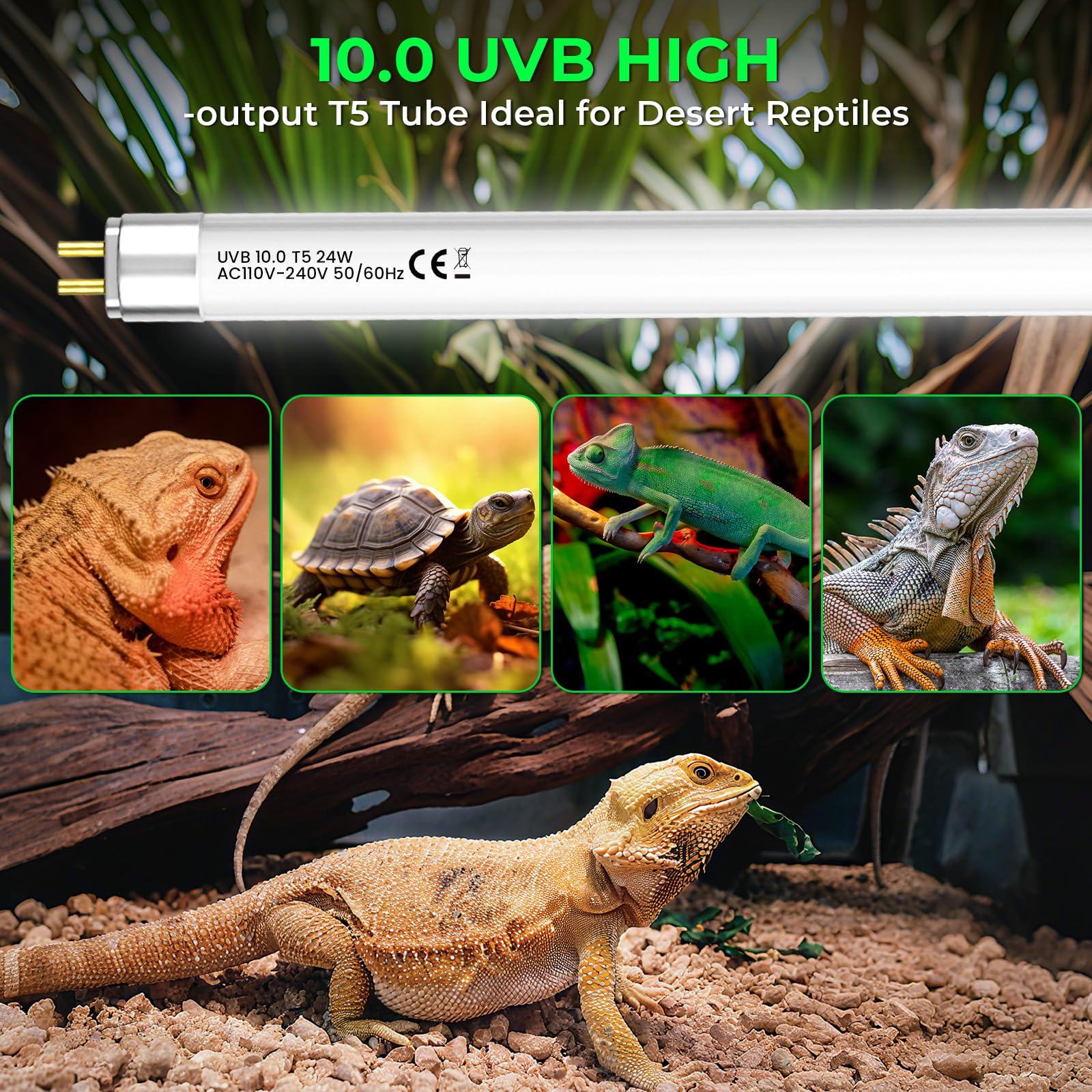 GlowUp 22 Inch T5 HO 10.0 24W Bearded Dragon UVB Light Bulb, UVA UVB Reptiles Light Bar Tube Lamp, UVB Reptile Light Bulb for Leopard Gecko Tortoise Chameleon Tropical Desert Reptile Terrarium -2Pack - image 6