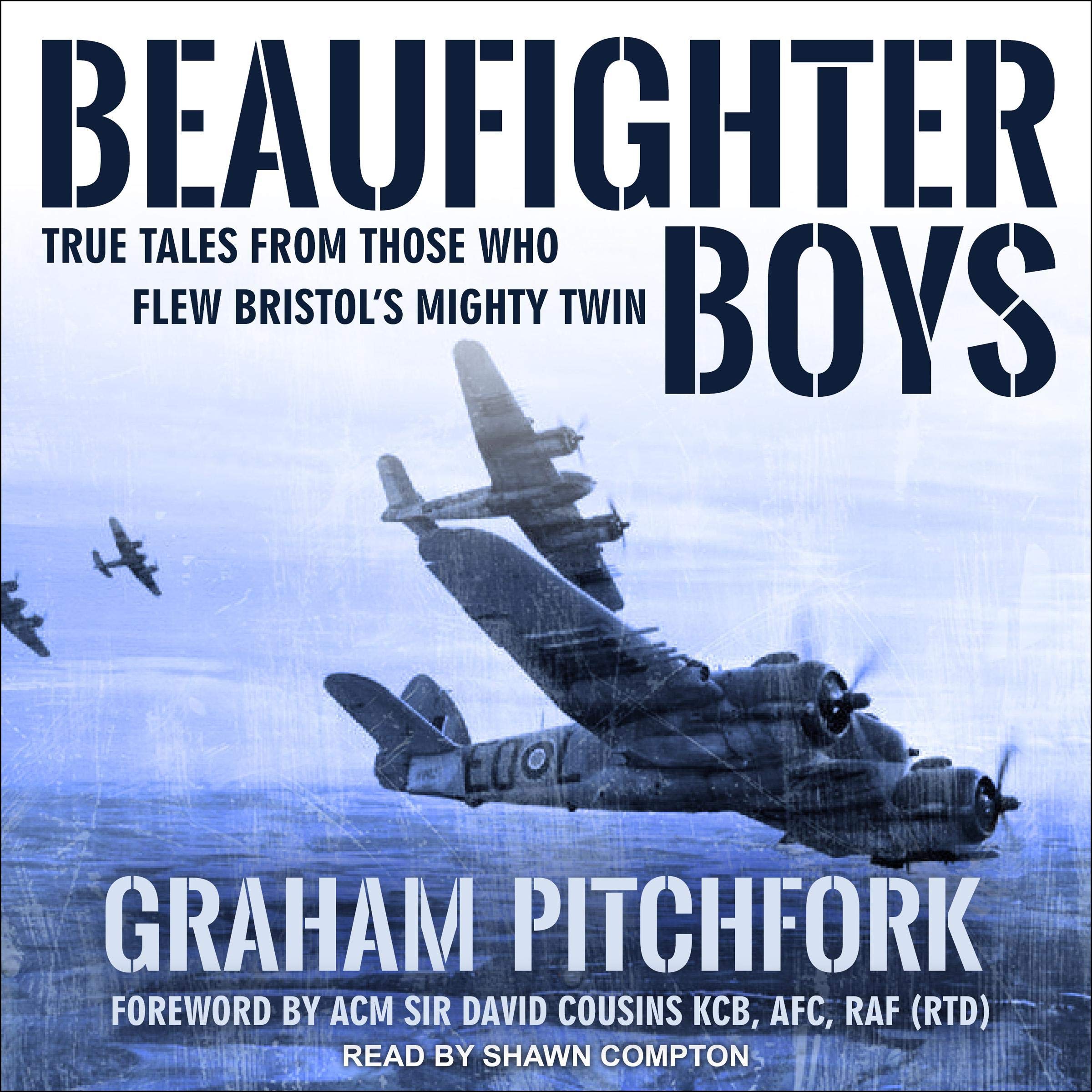 Cover art for Beaufighter Boys