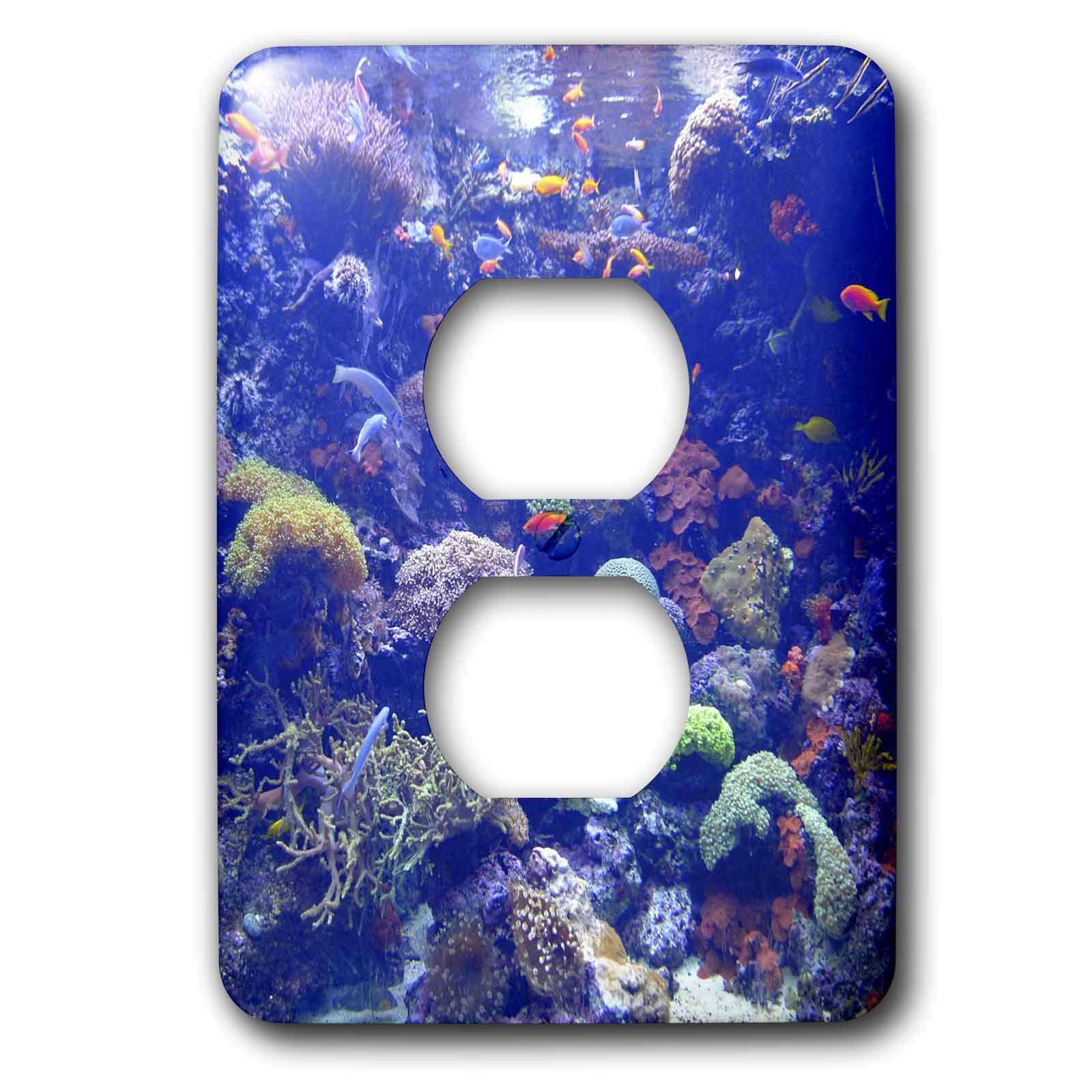 Poisson tropical arc-en-ciel plaque pour masquer les doubles prises ternes