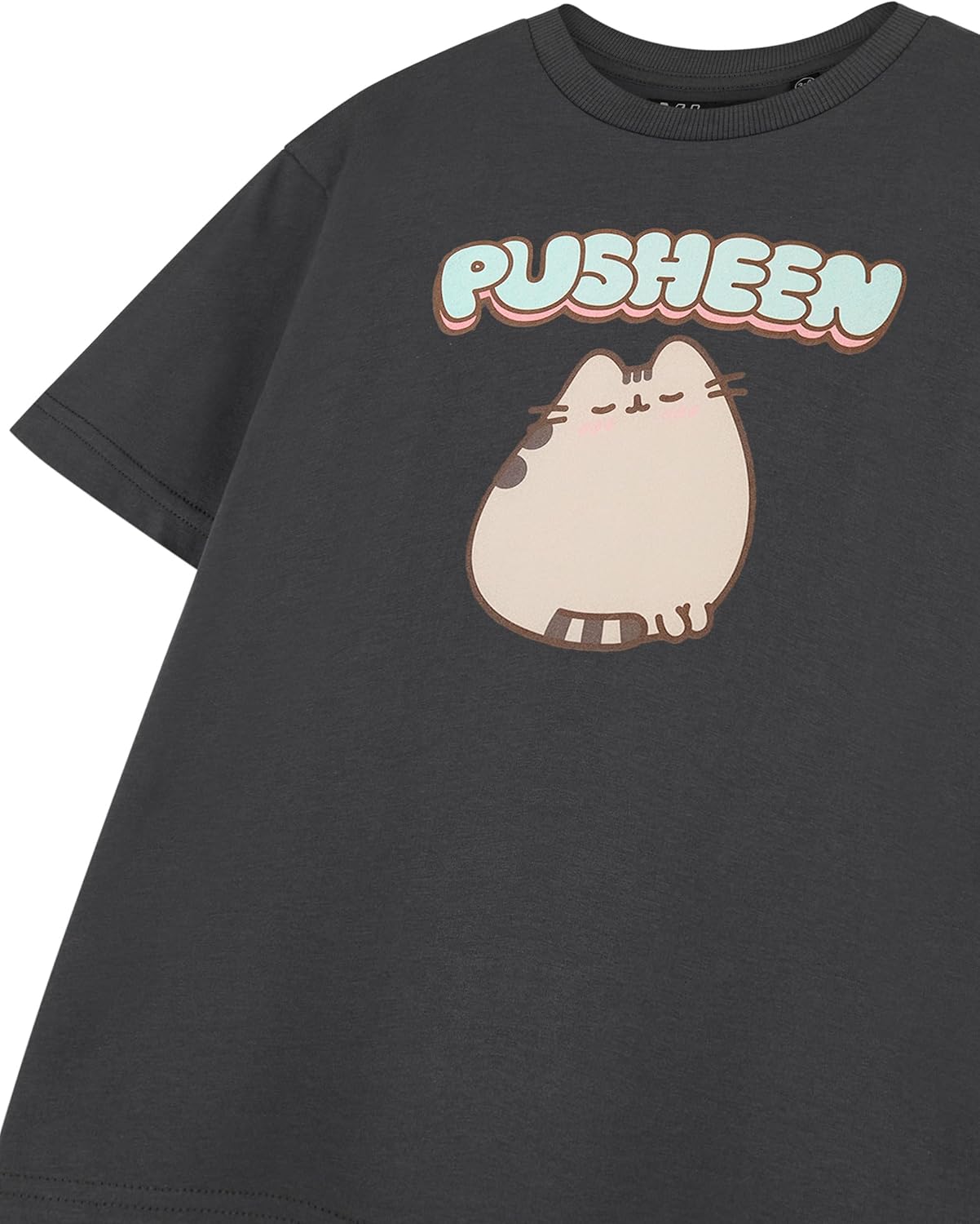 Pusheen Girls Grey Short Sleeved T-Shirt Blush Mauritius Ubuy
