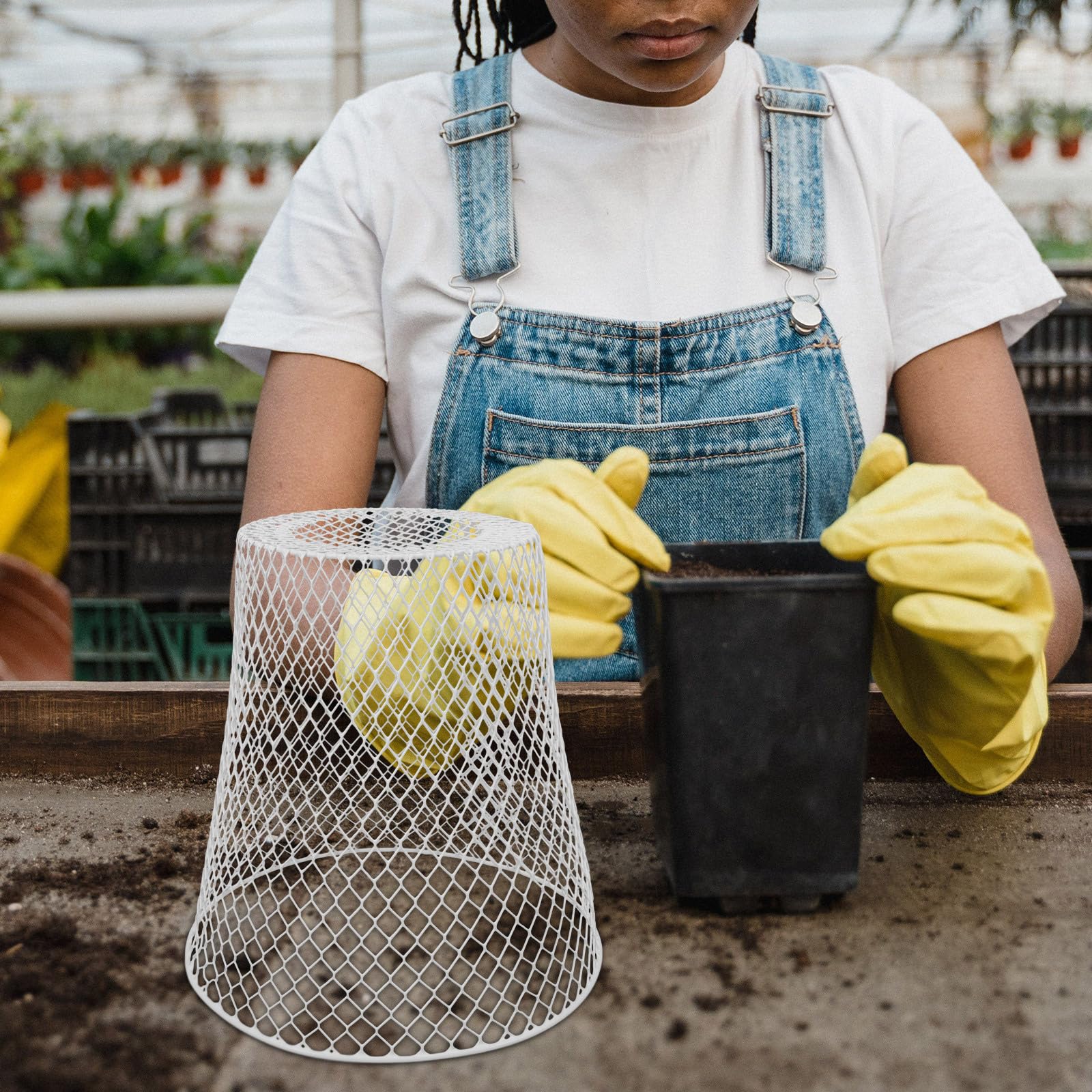 GANAZONO Cloche De Jardin Couvertures De Plantes en Cloche en Grillage Protections De Cage De Plantes en Métal Contre Les Animaux Protections De Plantes en Métal pour Empêcher Les Lapins
