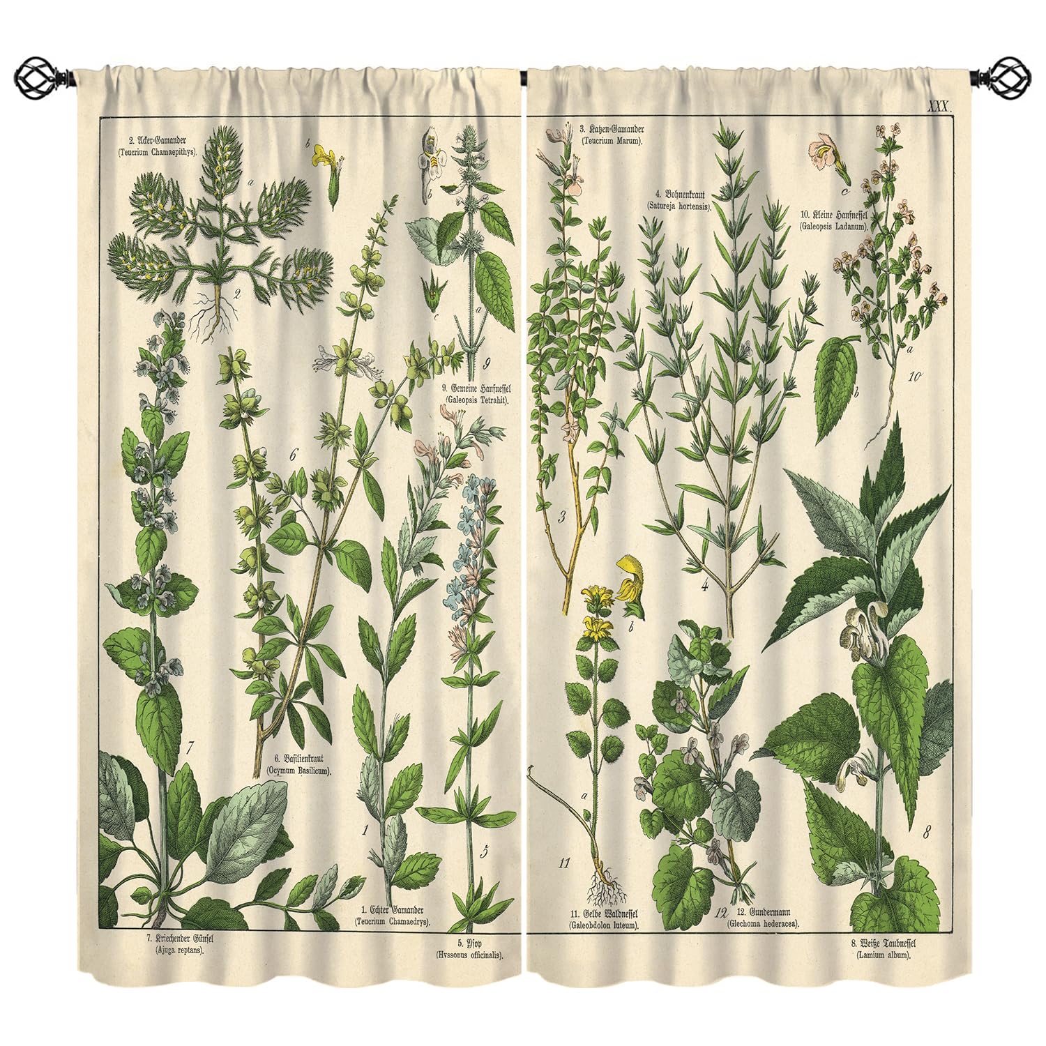 Vintage Botanical Curtains, Antique 1900s Plants Herbs Boho Retro Green Leaves Blackout Window Treatments, Rod Pocket Thermal Insulated Drapes 2