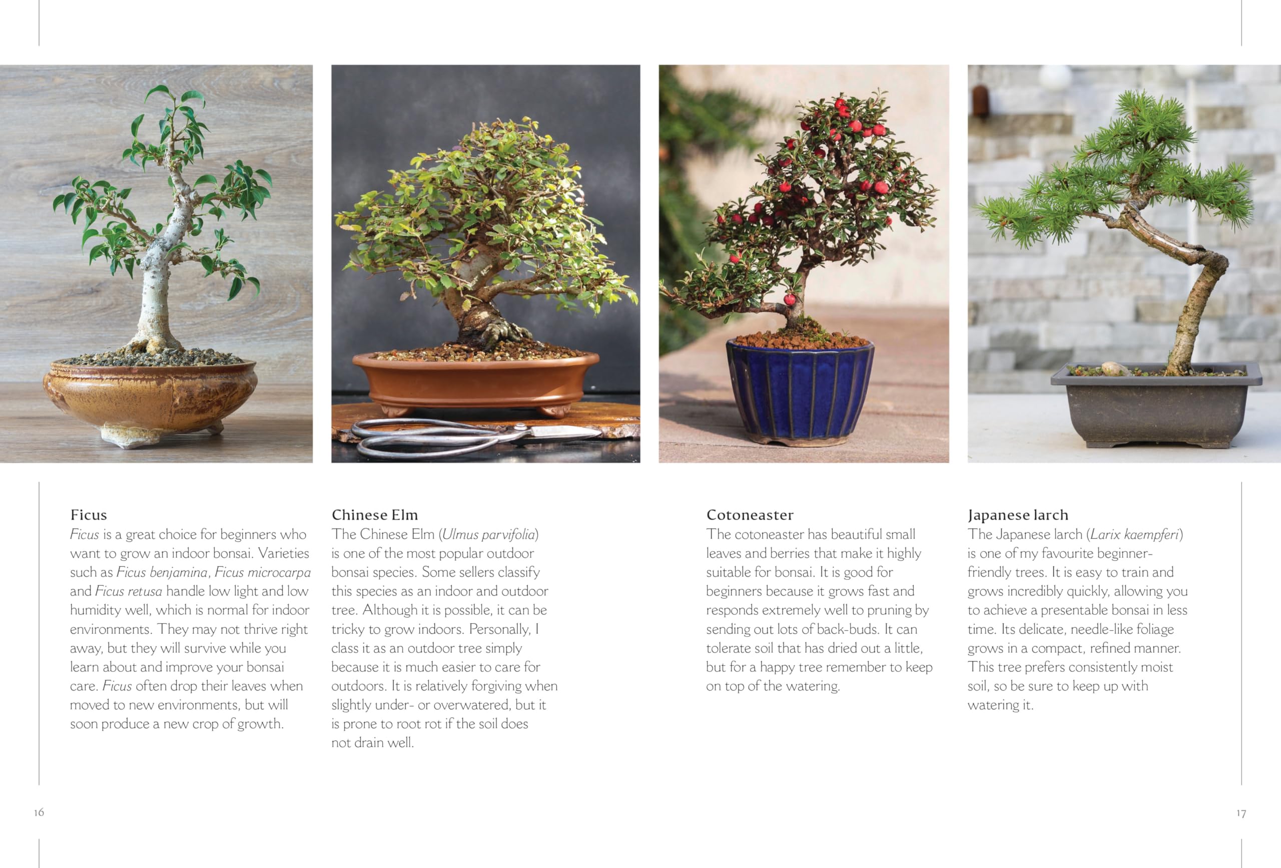 The Happy Bonsai Handbook: Essential advice and easy techniques for bonsai beginners and beyond