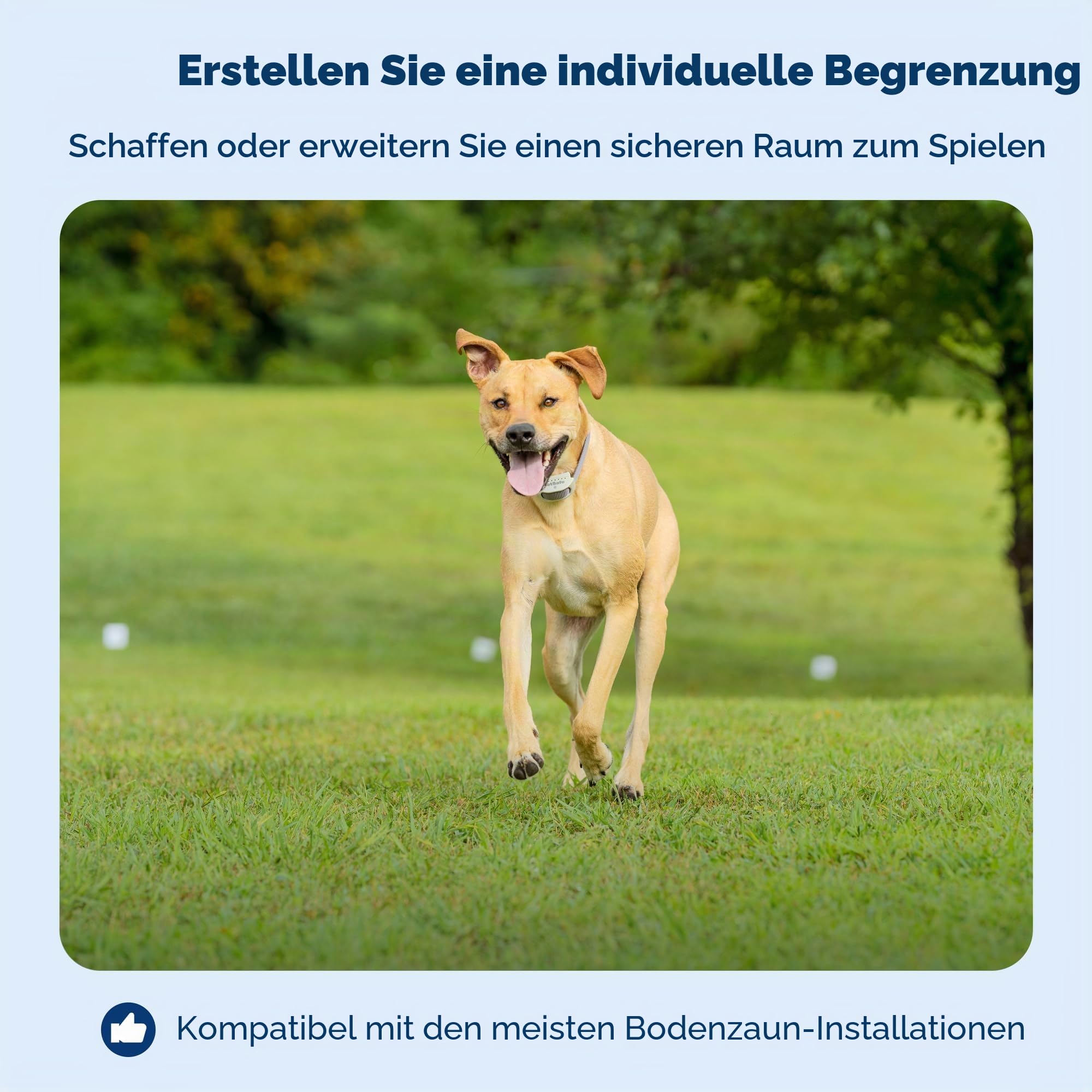 PetSafe Begrenzungsdraht, 152,4 m Spule mit solidem Kern 20-Gauge Kupferdraht, In-Ground Pet Zaundraht, Farben können variieren