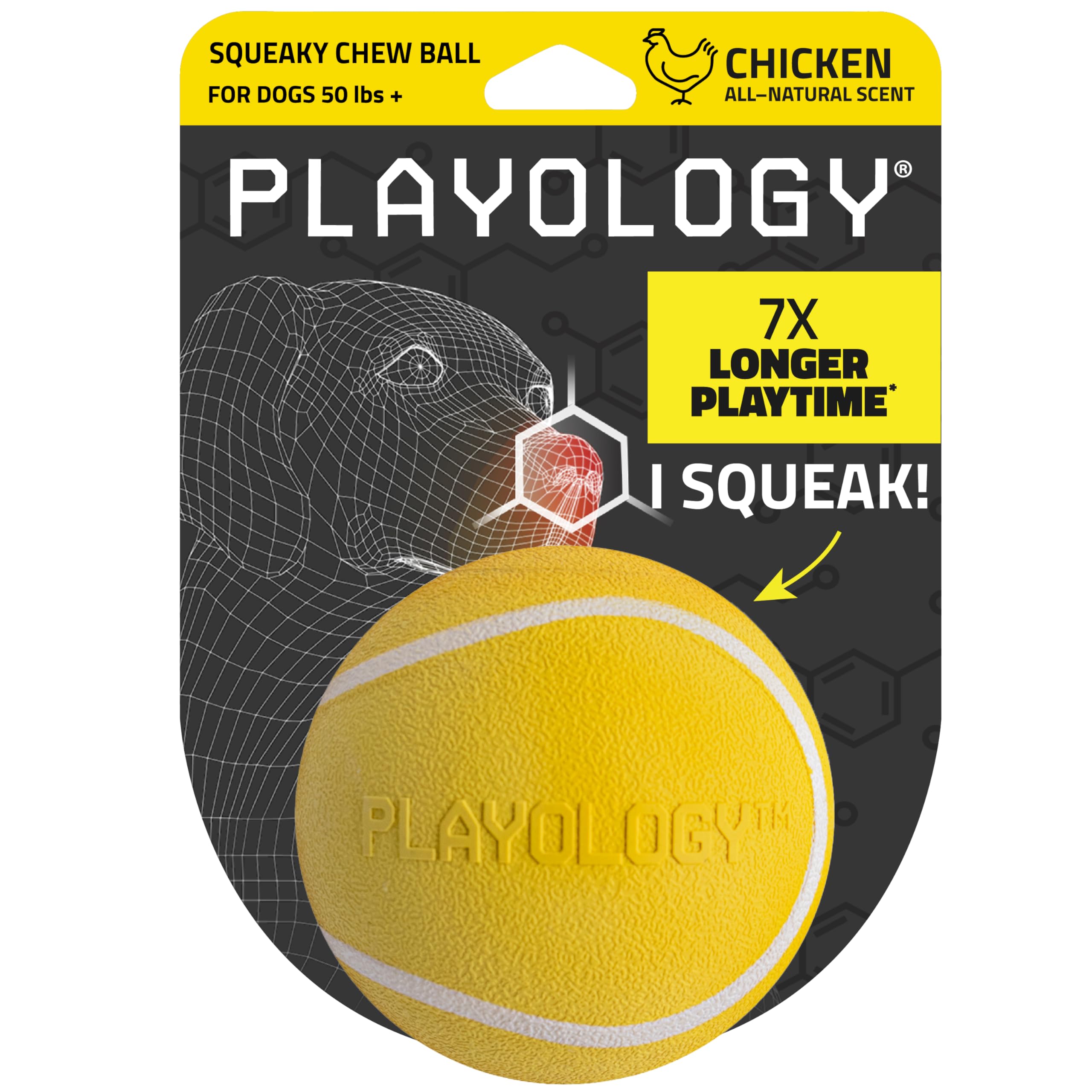 Squeaky Chew Ball Dog Toy - Jumbo, Chicken Scent
