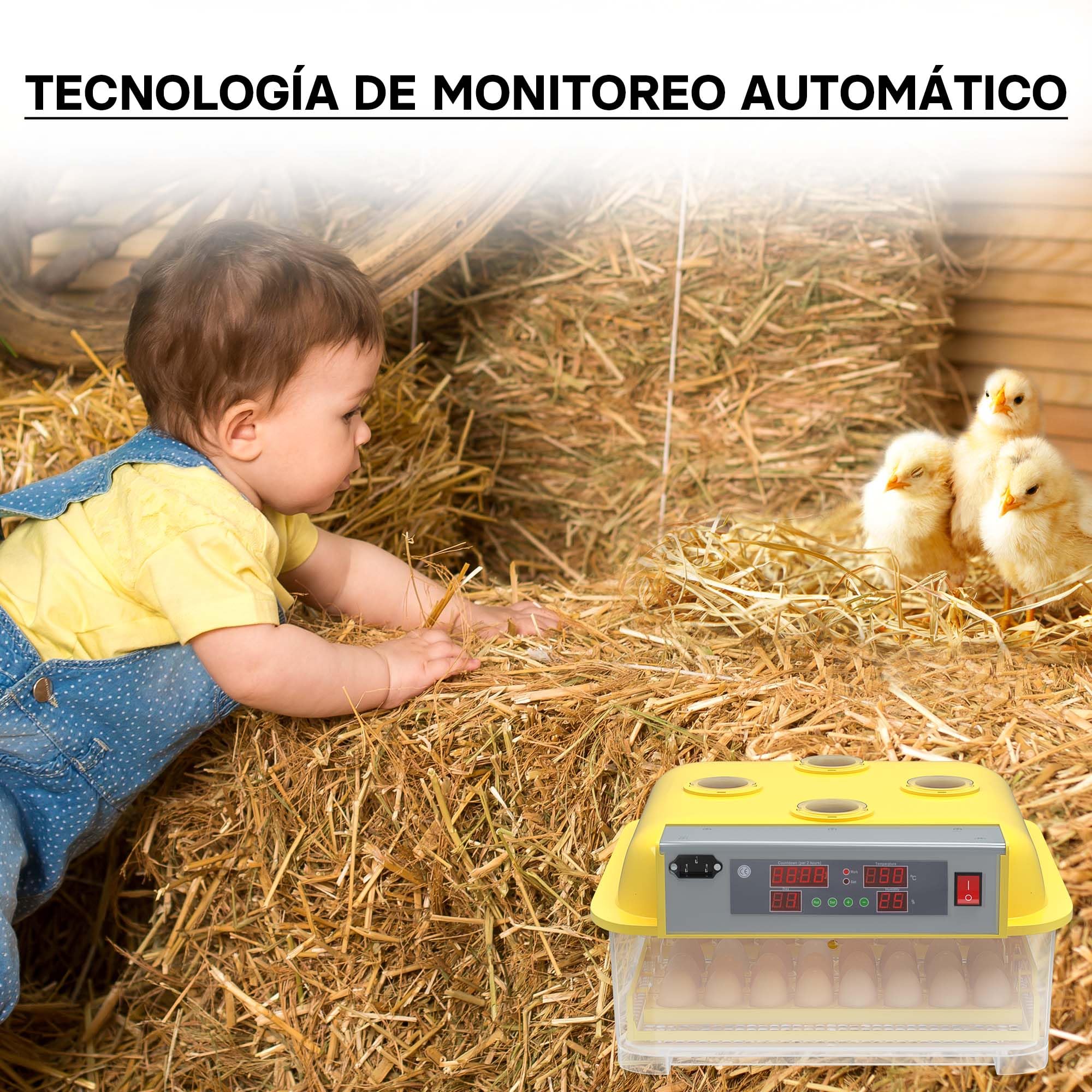 Incubadora automática capacidad para 48 huevos de gallina y 4 ventanas observación, pato, codorniz