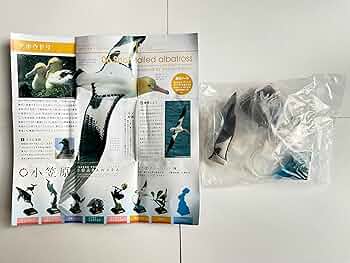 81L91xAM5EL._AC_UF350,