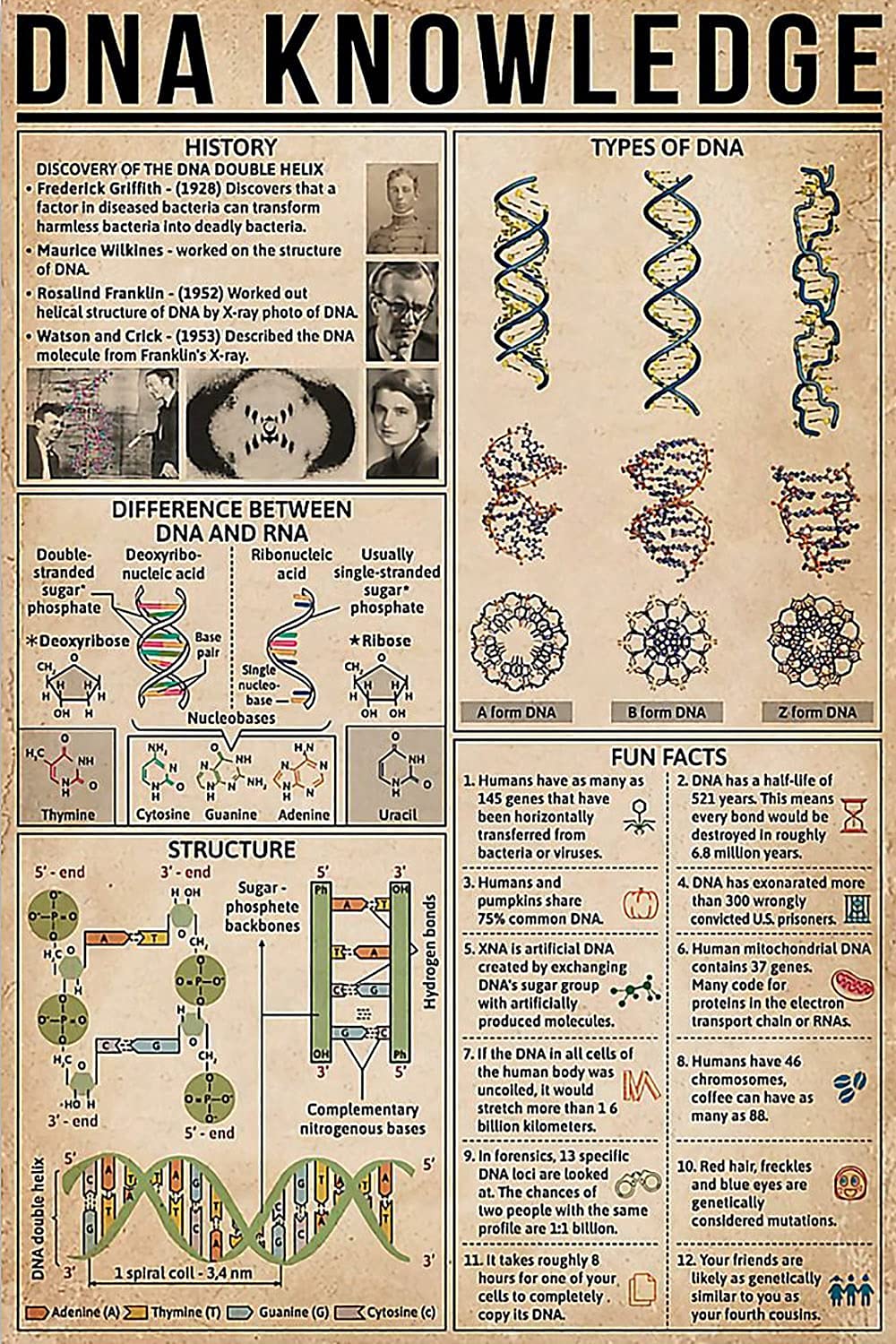 peiyeety Dna Knowledge Posters BioScience Metal Signs School Room Decor Home Club Wall Decor Retro Plaque es 8"x12"