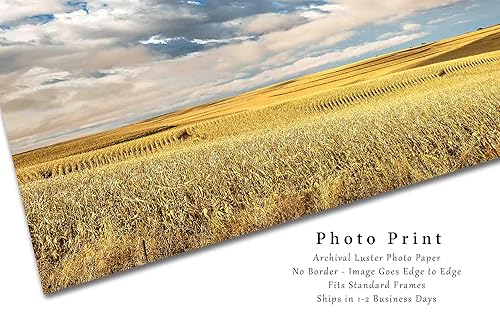Miniatura 7 de Country Photography Print (Not Framed) Picture of Golden Terraced Corn Fields Under Dreamy Sky on Autumn Day in Iowa Farm Wall Art Farmhouse Decor