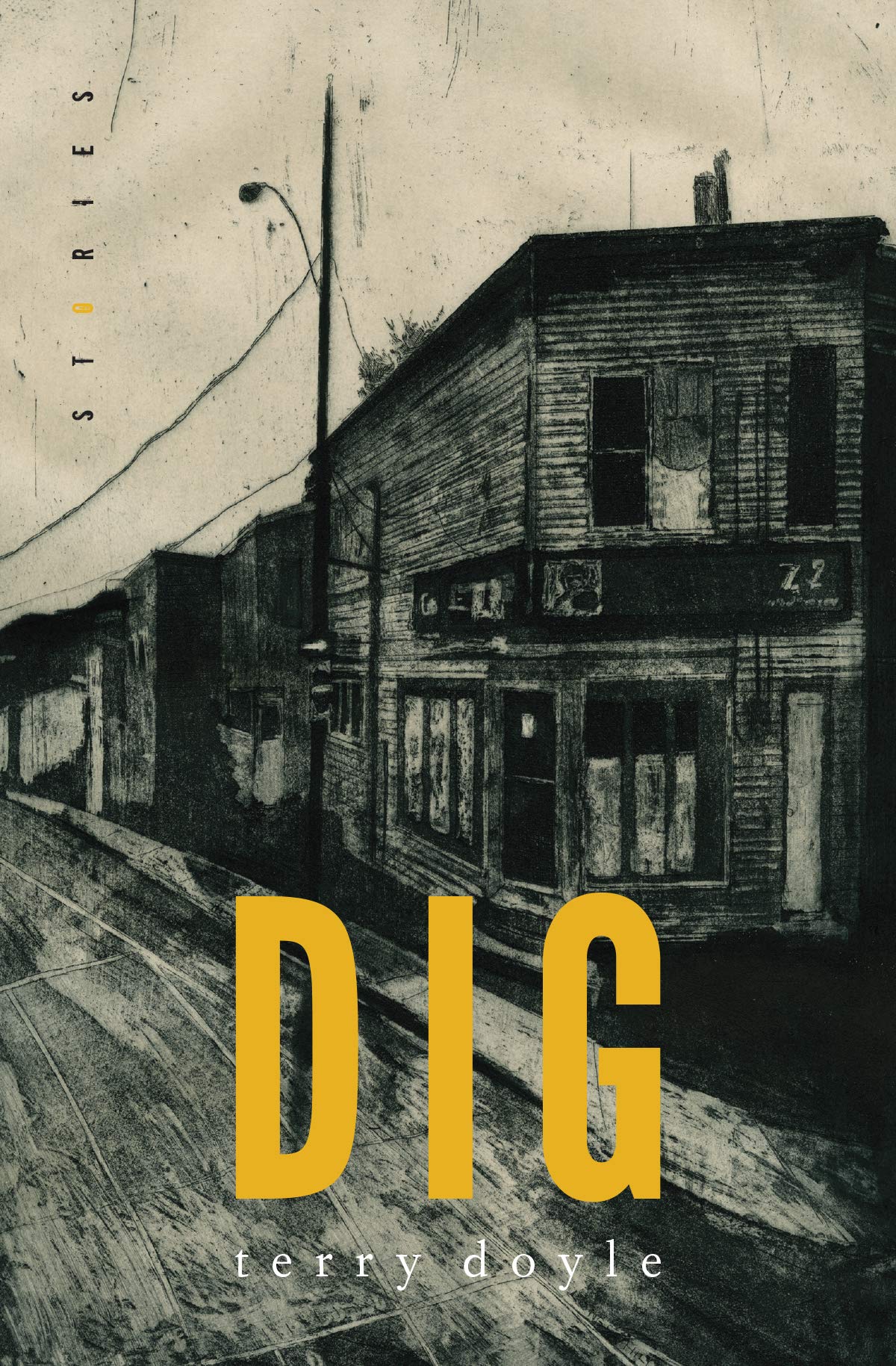 Buy Dig: Stories — BookShops.in