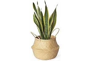 Artera Woven Seagrass Plant Basket - Wicker Belly Basket Planter