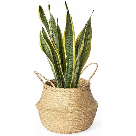 Artera Woven Seagrass Plant Basket - Wicker Belly Basket Planter
