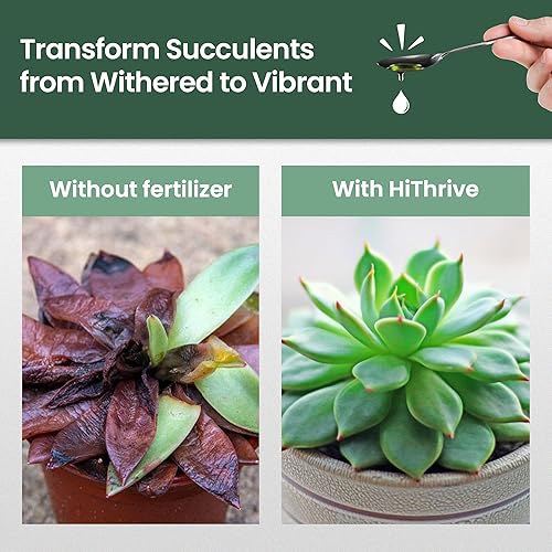 Miniatura 3 de Fertilizante para suculentas de 16 onzas, hace que 32 galones de alimento para plantas suculentas vivas, fertilizante líquido para suculentas,