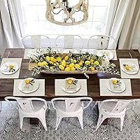 Vista 204 de Faux Leather Placemats and Coasters Set of 2, Round Leather for Dinner Table Mats Heat Resistant Non-Slip Washable Insulation Coffee Mats Kitchen