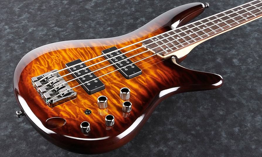 Amazon.com: Ibanez SR400EQM SR Standard Electric Bass